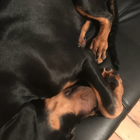 Meet your Posher, Beverly - Picture 1 of 1